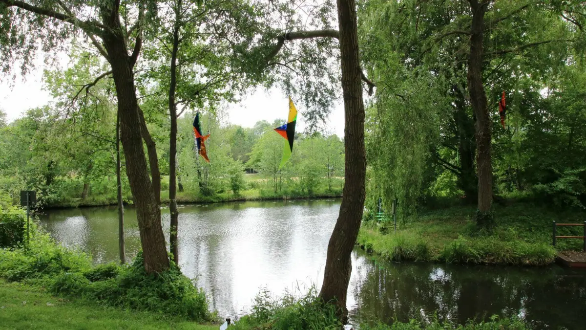Ungewöhliche Früchte hat Rainer W. Gottemeier an die Bäume neben der Spree in Lübben gehängt.
Ungewöhliche Früchte hat Rainer W. Gottemeier an die Bäume neben der Spree gehängt.