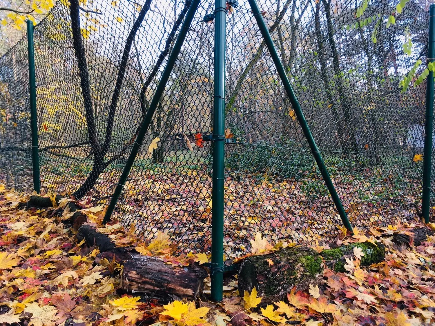 Südfriedhof immer wieder wüten Wildschweine. Deshalb wurden die Zäune verstärkt und mit Baumstämmen abgesichert.