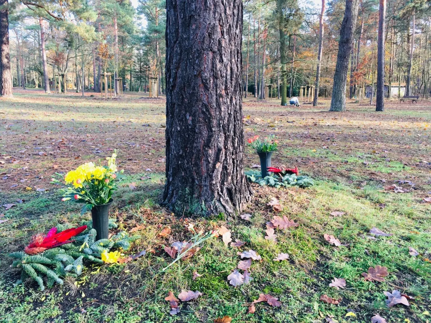 Der Südfriedhof ist die größte Ruhestätte von Cottbus. Allerdings wird auch dort bis zum Jahr 2040 die Zahl der Bestattungsflächen um die Hälfte reduziert.