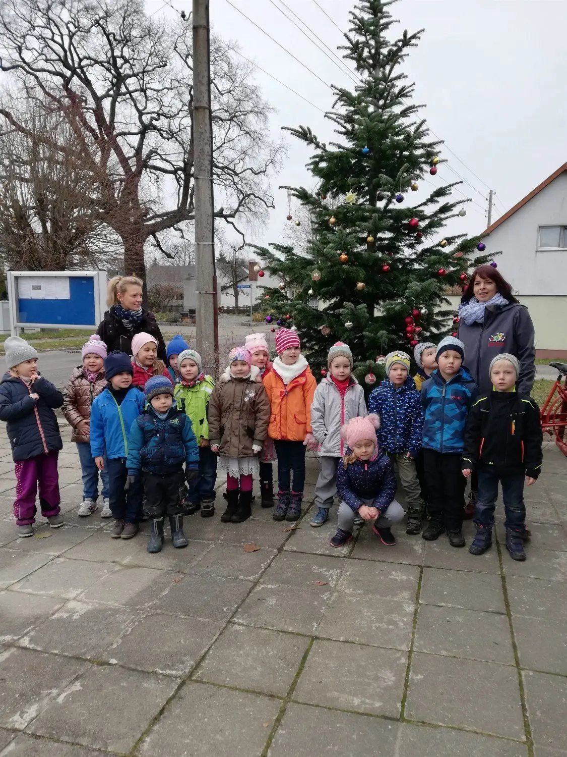 Der von den Kinder der Kita ,,Lustige Früchtchen" geschmückte Baum ist ein Teil der Vorbereitung für die Enthüllung des Adventsfensters in Byhleguhre.