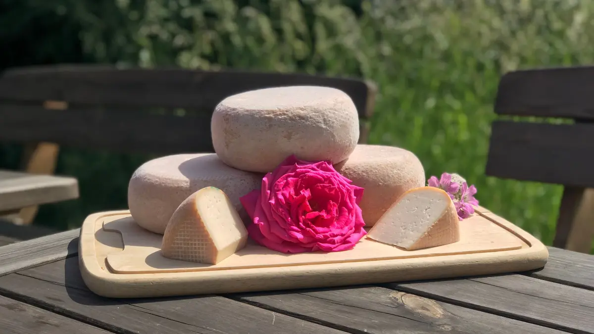Ziegenkäserei und Wiesencafé Karolinenhof