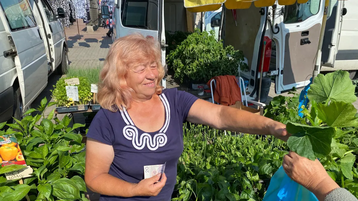 Gemüsepflanzen gibt es beim Stand von Lydia Znaniecka günstig zu erwerben.