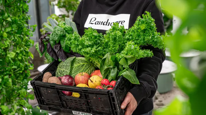 Frisch aus dem Spreewald – das steckt in der Abo-Kiste von Landware