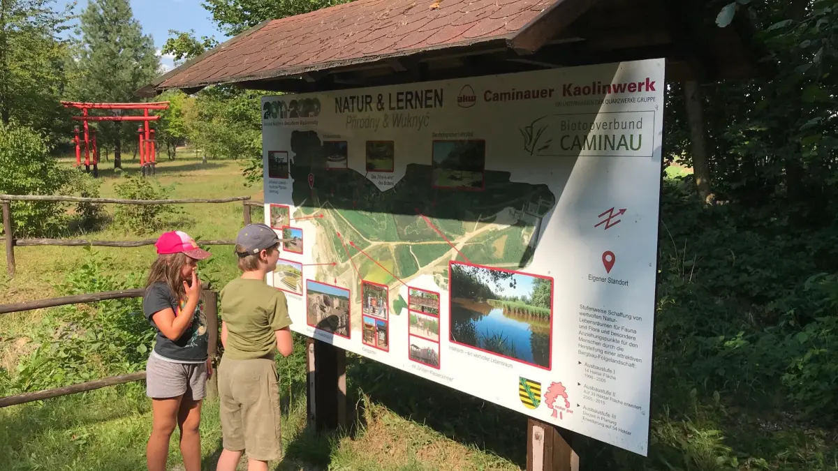 Mehrere Infotafeln geben im Gebiet Auskunft zu Tier- und Pflanzenwelt, ebenso zu Bergbau und Rekultivierung. Im Hintergrund ist das Arboretum Sinensis zu sehen.
