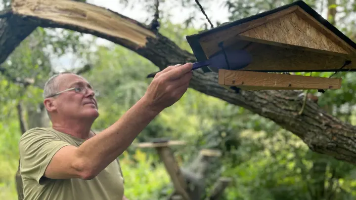 Vogelfutter auch im Sommer – ergibt das wirklich Sinn?