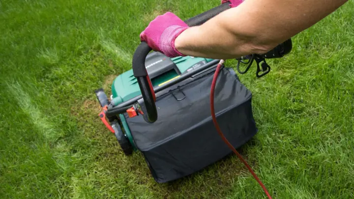 Ab wann man mit dem Grünschnitt anfangen sollte