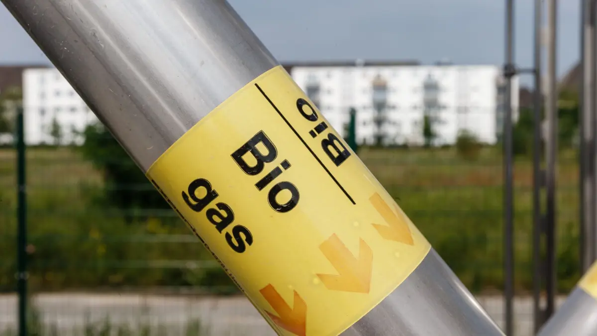 Biogaslaseitung: ARCHIV - 18.06.2019, Hamburg: Eine Biogas-Leitung führt über das Gelände der neuen Hamburg Water Cycle Betriebsstätte im Stadtteil Jenfeld. In ihr wird der Schwarzwasser-Anteil von 800 Wohnungen getrennt erfasst, gereinigt und direkt im Stadtquartier in Energie umgewandelt. (zu dpa: «Elektrolyseur soll Produktion von Biomethan steigern») Foto: Markus Scholz/dpa +++ dpa-Bildfunk +++