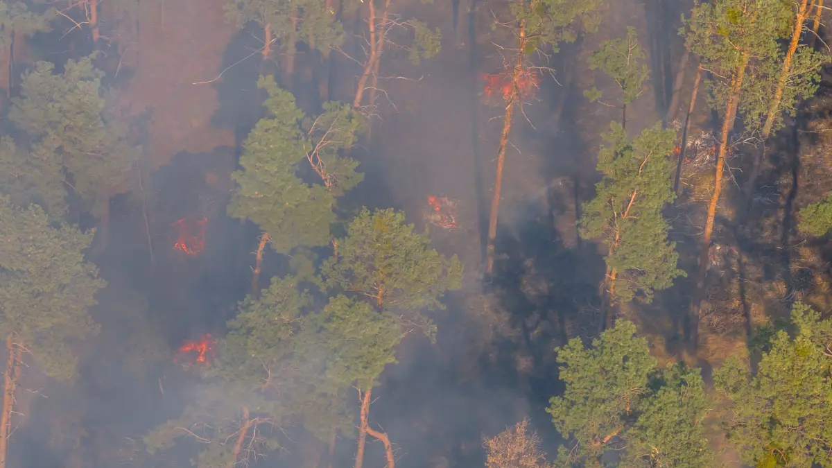 Aus einem Waldbodenbrand zwischen Oschätzchen und Prieschka entwickelte sich schnell eine gefährliche Situation. Die Feuerwehren führten schnell mehrere Wassertanker ins Einsatzgebiet.