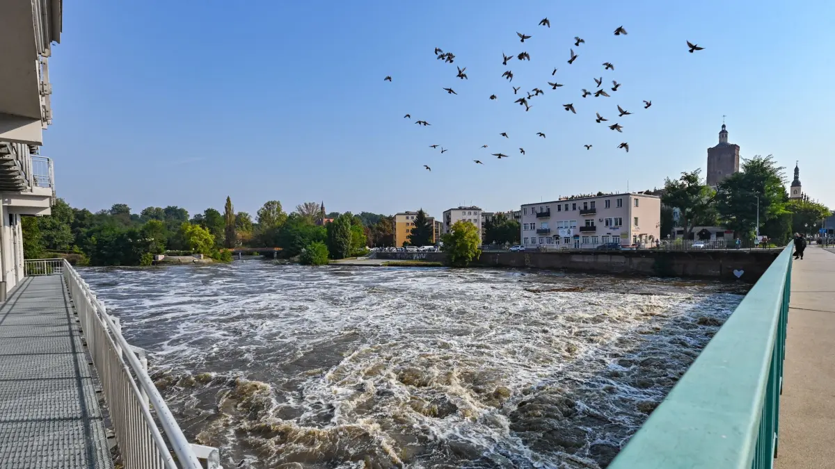 Hochwasser in Brandenburg: 18.09.2024, Brandenburg, Guben: Das Hochwasser vom deutsch-polnischen Grenzfluss Neiße strömt unter der Stadtbrücke durch. An den Flüssen Neiße und Oder erwartet das Landesamt für Umwelt (LfU) weiter steigende Wasserstände. Der Wasserstand der Neiße ist am Vormittag auf etwa 4,40 Meter angestiegen. Foto: Patrick Pleul/dpa +++ dpa-Bildfunk +++