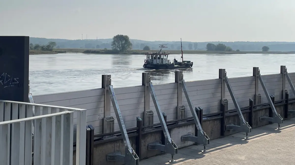 Die Spundwand am Holzmarkt in Frankfurt (Oder) ist beinahe aufgebaut.