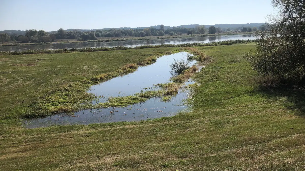 Erste Vorboten: Die Wiesenflächen zwischen Hohensaaten und Hohenwutzen sowie zwischen Deich und Oder stehen teilweise unter Wasser.