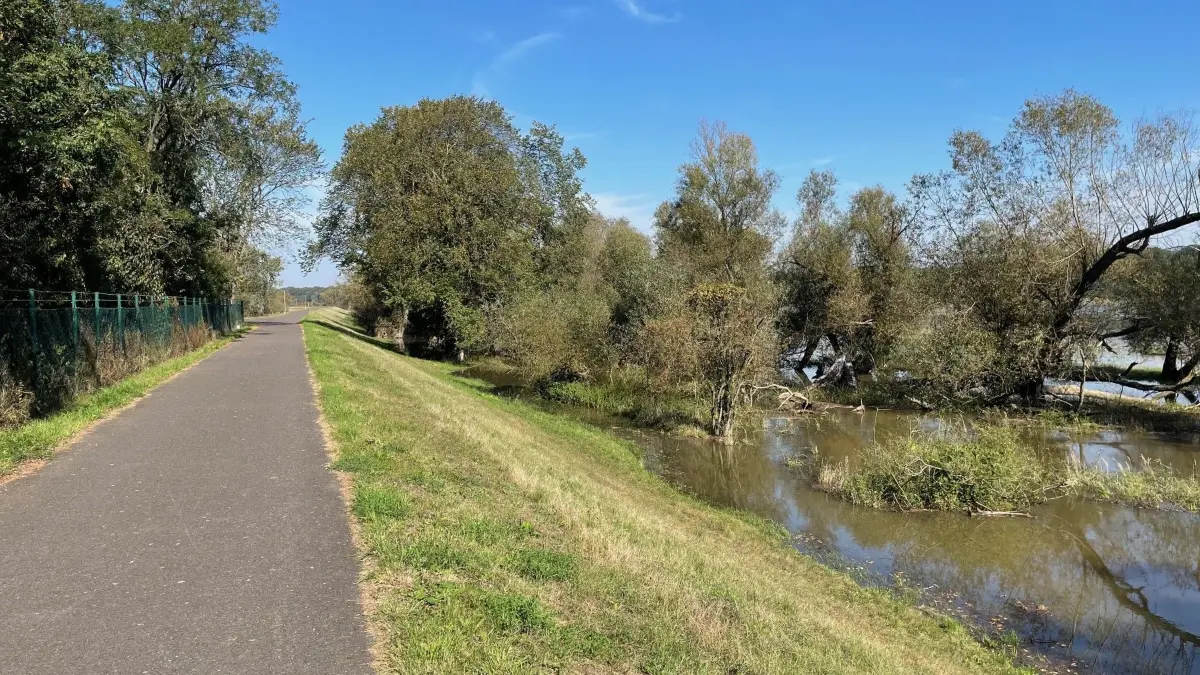 Bis an den Deichfuß reicht das Wasser am Montag (23.9.) auf den nördlichen Oderwiesen in Frankfurt (Oder).
