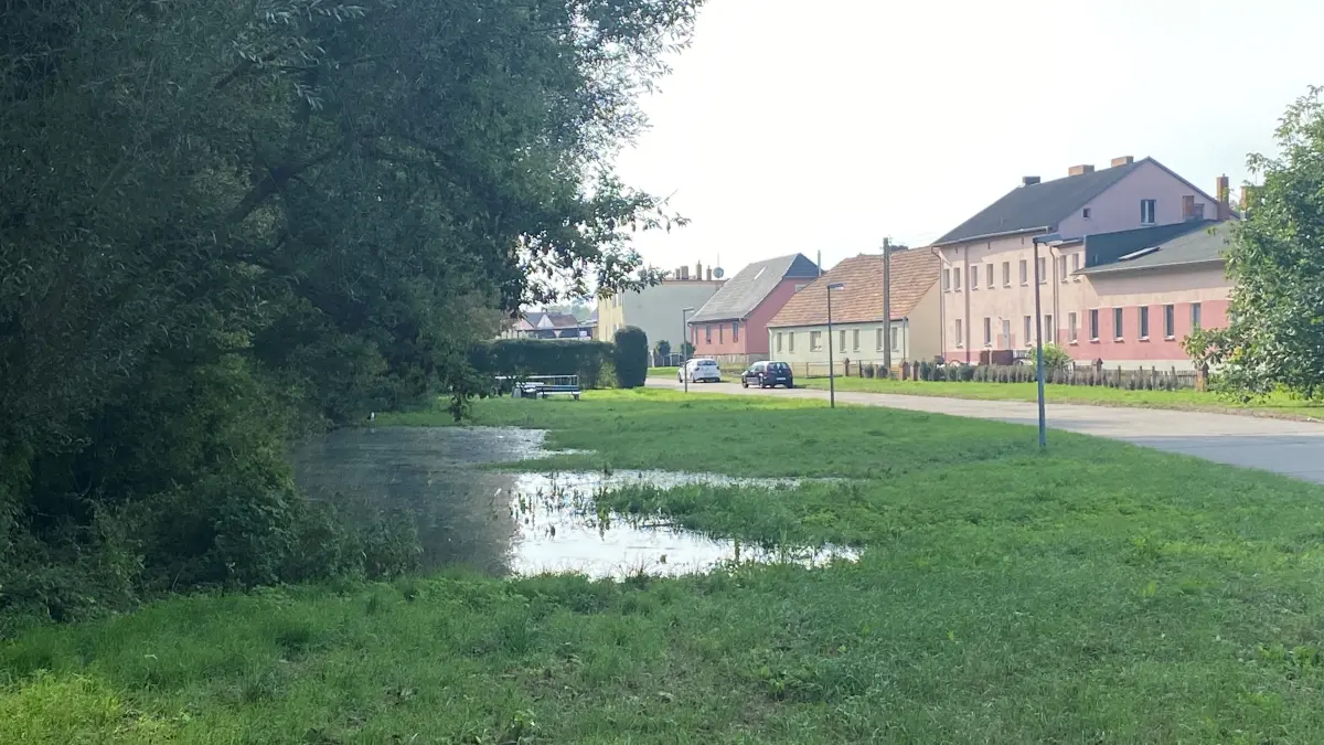 An der Fluss-Seite reichte am Montagmittag das Wasser bis zu drei Meter an die Seestraße in Brieskow-Finkenheerd heran. Die Keller an den Häusern auf der gegenüberliegenden Seite waren zu diesem Zeitpunkt noch trocken. Gegen Mittag war die Seestraße teilweise nur noch für die Anwohner erreichbar.