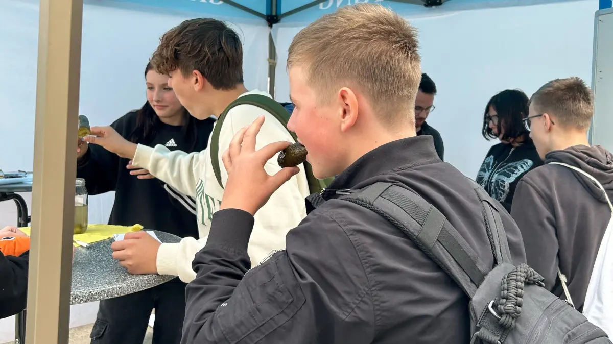 Die Gurken schmecken. Ein kleiner Trip ins Grenzland.