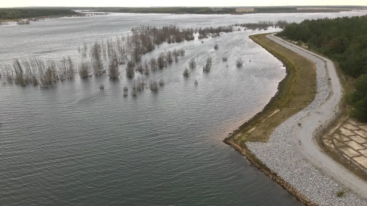 Vom Rostigen Nagel haben Besucher einen Panoramablick auf den Wasserwald im Sedlitzer See unweit des Einlaufs des Sornoer Kanals. Die abgestorbenen Bäume müssen gerodet werden.