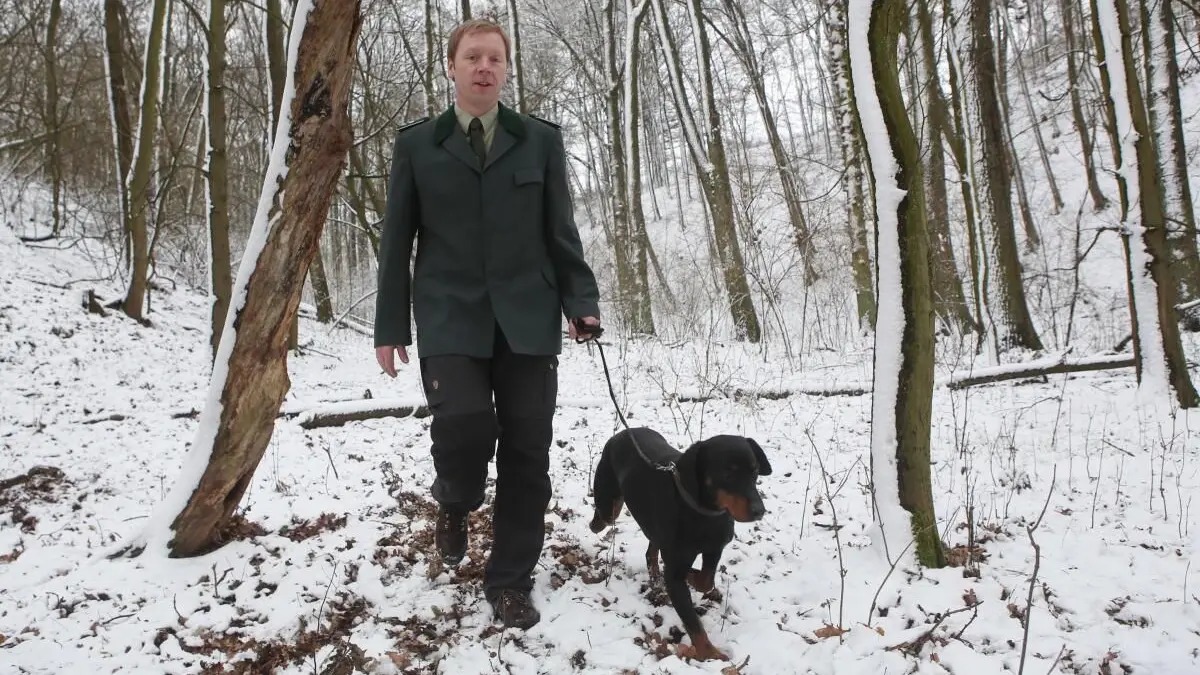 Boris Schnittker mit einer Schwarzwildbracke Festus im Jahr 2016