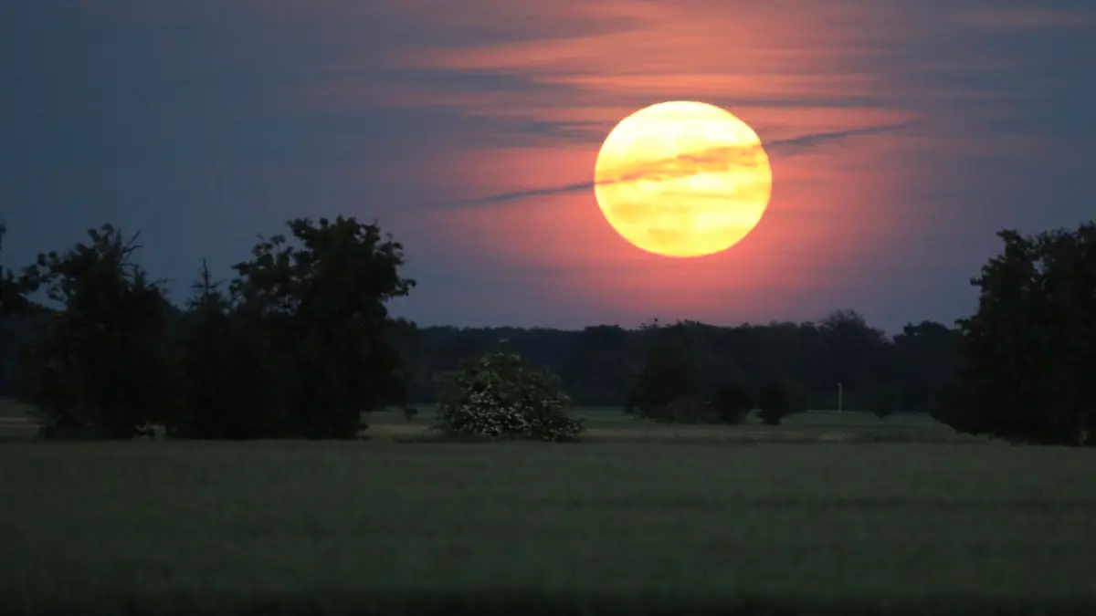 Der Mond geht über einem Feld in Nordsachsen auf. Der Mond zeigt sich in der Nacht auf Mittwoch als sogenannter Supermond. Der Erdtrabant wirkt dann heller und etwas größer als üblich. Der Grund dafür ist, dass der Mond der Erde mit einer Entfernung von 360 000 Kilometern recht nahe kommt und fast gleichzeitig Vollmond ist. +++ dpa-Bildfunk +++