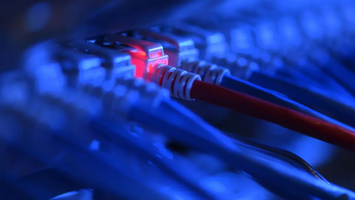 Symbolbild - Netzwerkstörung: ARCHIV - 16.10.2014, Baden-Württemberg, Friedrichshafen: Ein Netzwerkkabelstecker leuchtet in einer Netzwerkzentrale rot. (zu dpa: «IT-Störung in Karlsruher Verwaltung behoben») Foto: Felix Kästle/dpa +++ dpa-Bildfunk +++