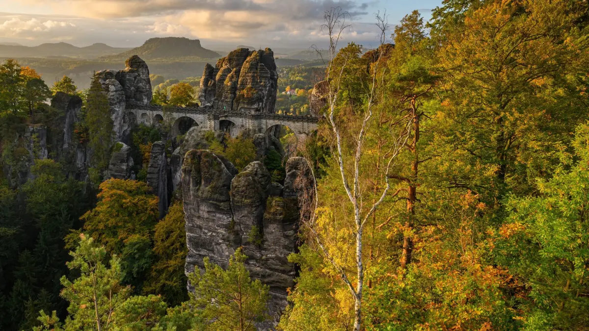 Waldwildnis in Sachsen: ARCHIV - 11.10.2022, Sachsen, Rathen: Sonnenlicht fällt am Morgen auf die herbstlich gefärbten Bäume im Nationalpark Sächsische Schweiz nahe der Basteibrücke. (zu dpa: «Sächsisches Klettern als Kulturerbe - Aufmerksamkeit erhofft») Foto: Robert Michael/dpa +++ dpa-Bildfunk +++