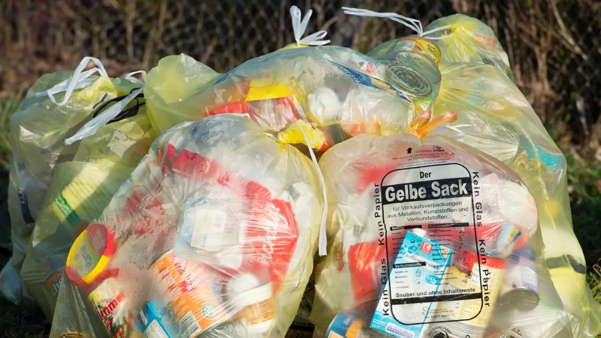 Mit Ablauf des Jahres 2024 endet die Ära des Gelben Sacks in Märkisch-Oderland. Denn ab dem 1. Januar 2025 werden die Wertstoffe mit dem Grünen Punkt in einer Tonne abgeholt.