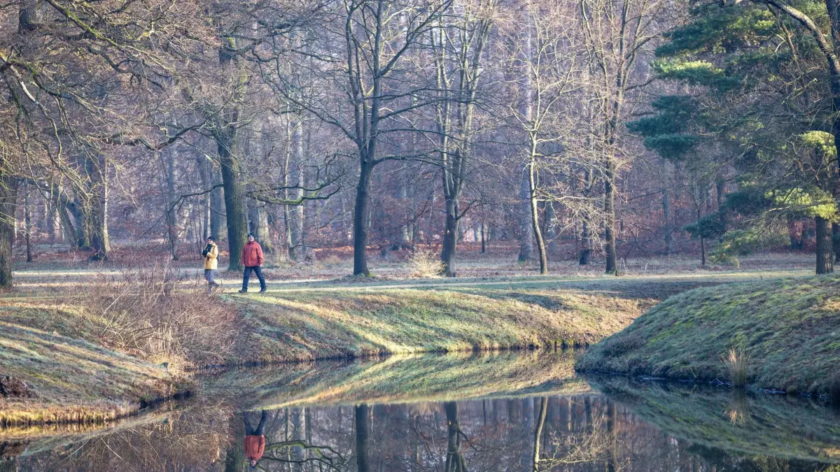 Wetter in Brandenburg: 28.12.2024, Brandenburg, Cottbus: Bäume und Spaziergänger im Branitzer Park spiegeln sich in einem See. Nachdem der Tag in Südbrandenburg mit dichtem Nebel startete, zeigt sich die Sonne im Tagesverlauf immer kräftiger. Auch am morgigen Sonntag soll die Sonne scheinen und die Temperaturen erreichen drei bis fünf Grad Celsius. Foto: Frank Hammerschmidt/dpa +++ dpa-Bildfunk +++
