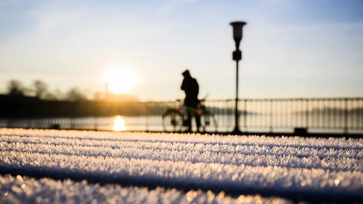 Wann sind die Eisheiligen 2025? Warum heißen sie überhaupt so? Und was muss man für Pflanzen im Garten und auf dem Balkon beachten?
