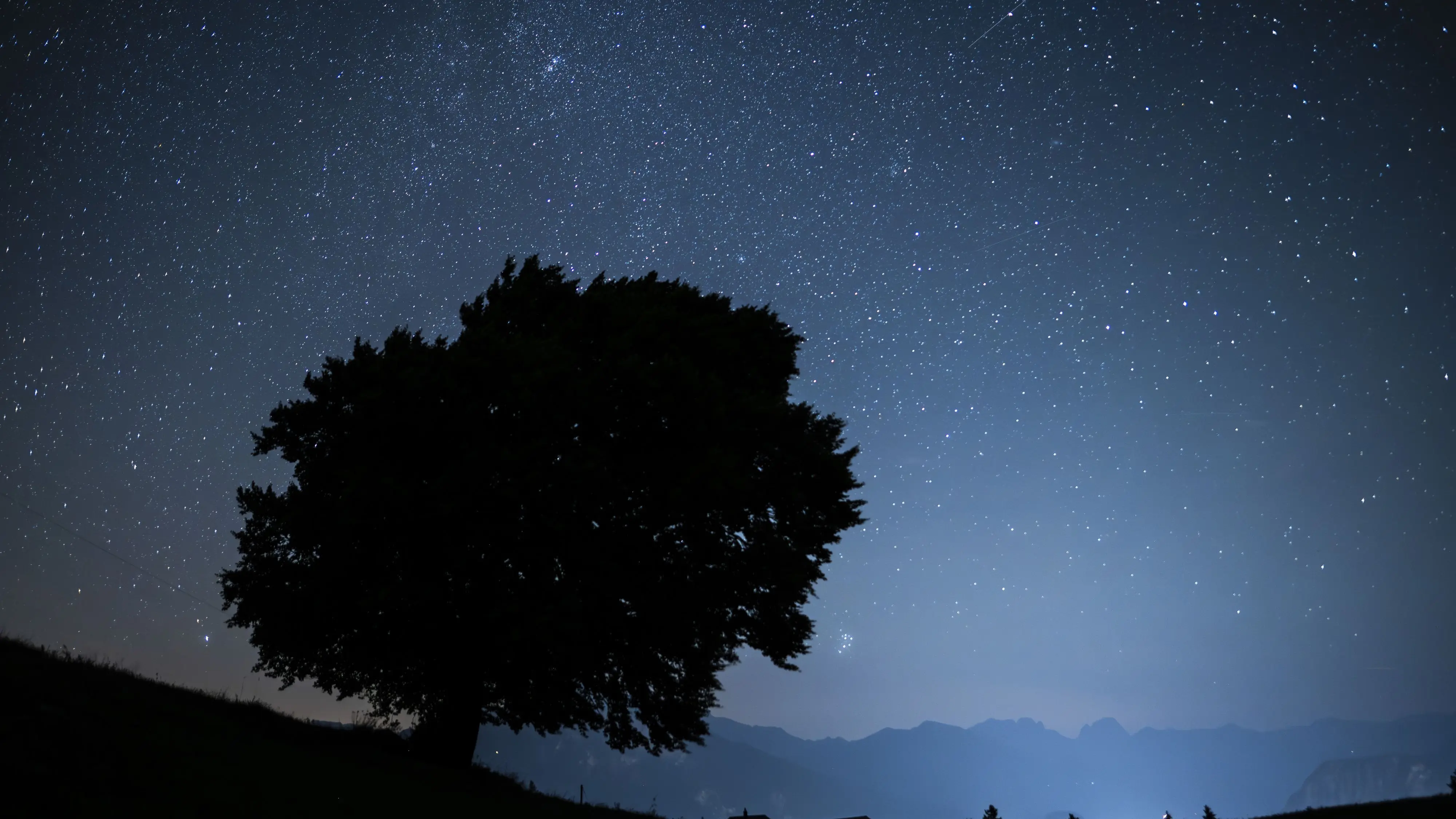 Sternschnuppen der Perseiden ziehen in der Nacht zum 13. August 2024 über den Himmel von St. Margrethenberg bei St. Gallen in der Schweiz. +++ dpa-Bildfunk +++