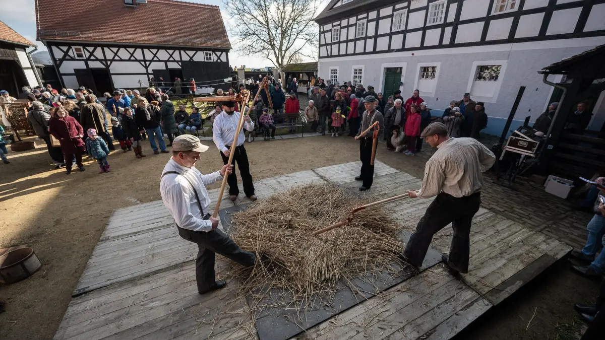 Internationaler Flegeldruschwettbewerb: 02.03.2025, Sachsen, Markersdorf: Die Gruppe „Seesportgruppe Thor Heyerdahl Abteilung Flegeldrusch“ aus Sachsen drischt Stroh mit Dreschflegeln beim Internationalen Flegeldruschwettbewerb des Schlesisch-Oberlausitzer Museumsverbund im Dorfmuseum Markersdorf bei Görlitz. Foto: Paul Glaser/dpa/ZB - Honorarfrei nur für Bezieher des Dienstes ZB-Funkregio Ost +++ ZB-FUNKREGIO OST +++