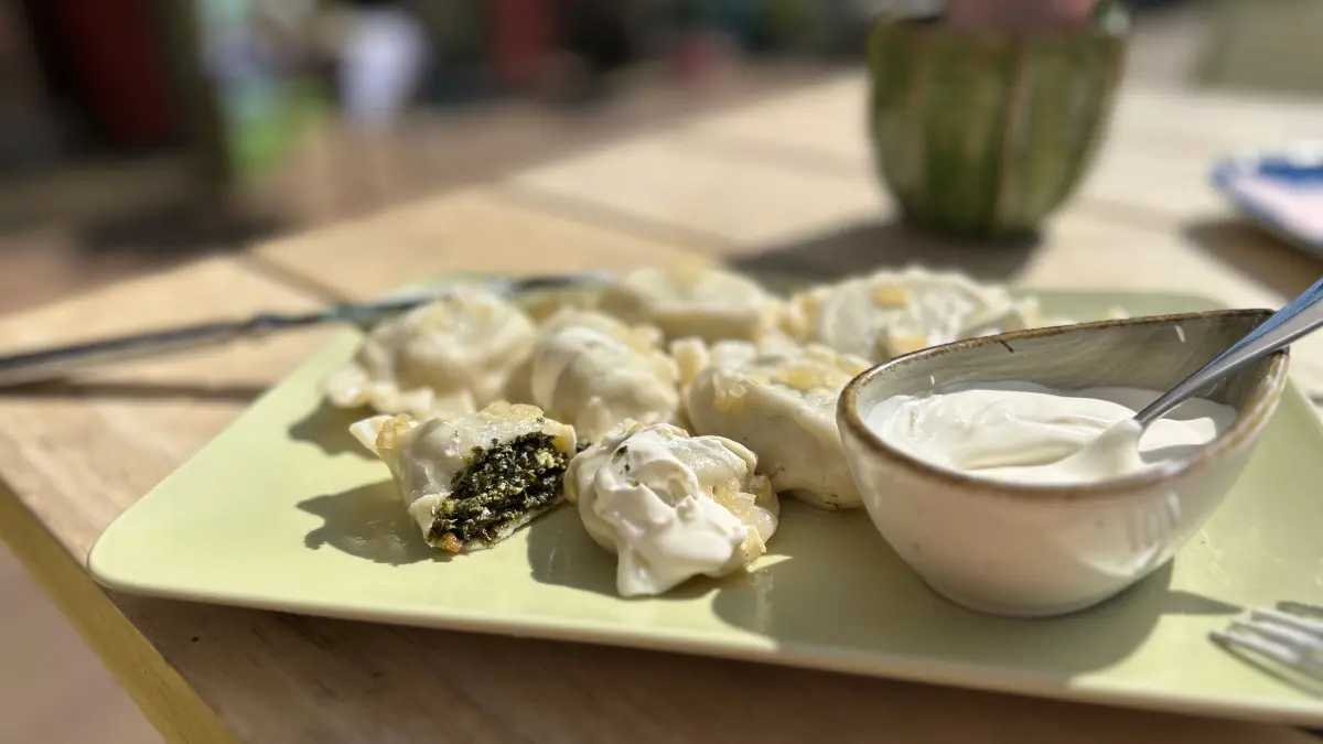 Die polnischen Pierogi sind mit Spinat und Hüttenkäse gefüllt.