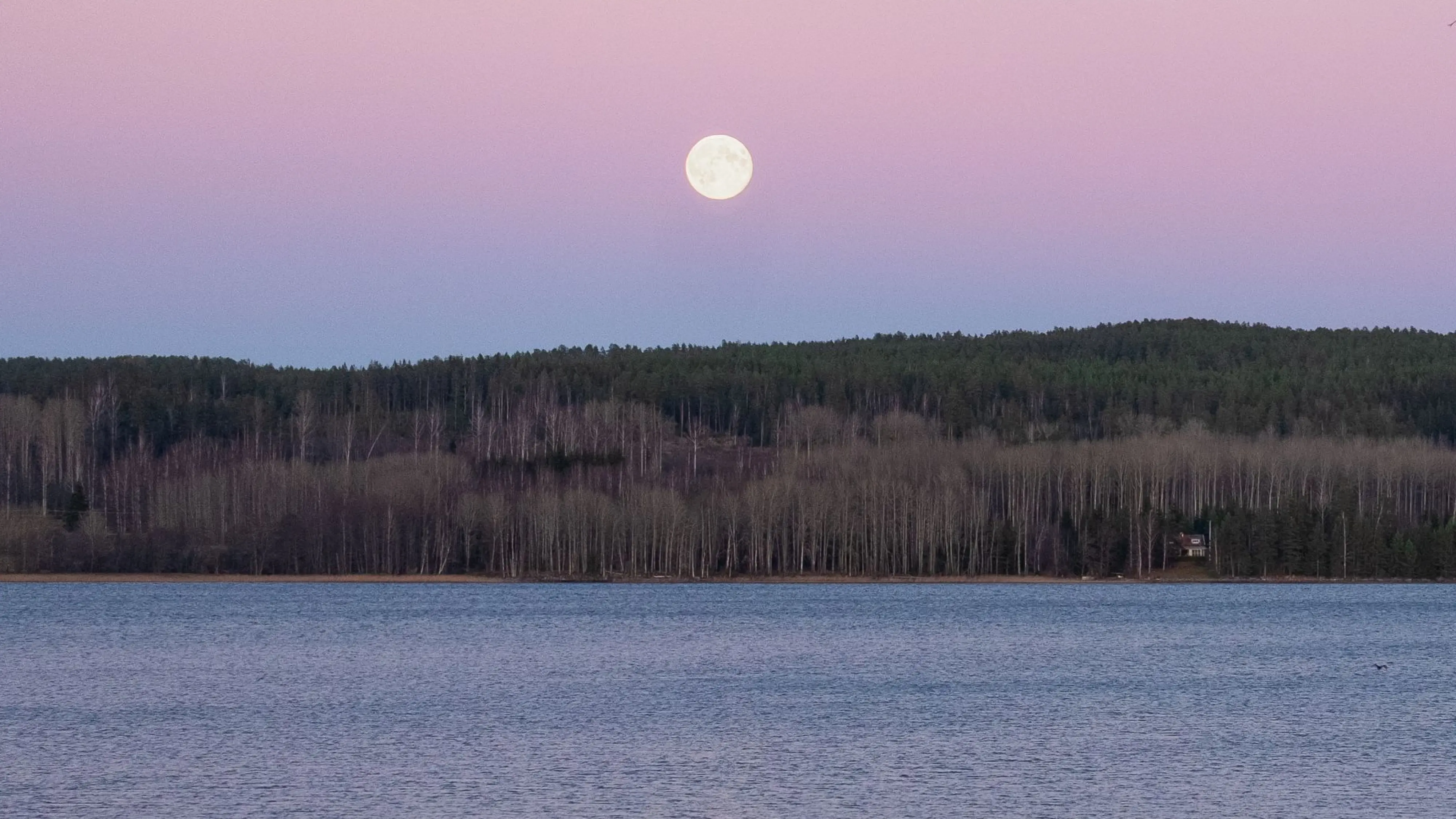 Vollmond über einem See