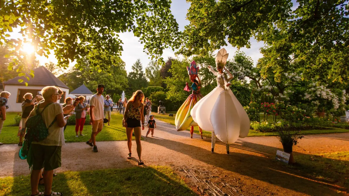 Ein Fest für die Sinne im Rosengarten in Forst: Am letzten Juni-Wochenende finden die Rosengartenfesttage 2025 statt.
