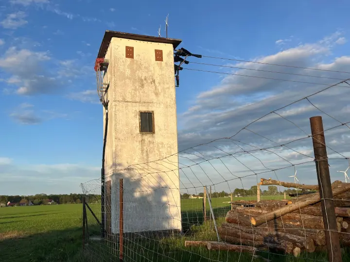 Storch löst Feuer am Trafohäuschen aus