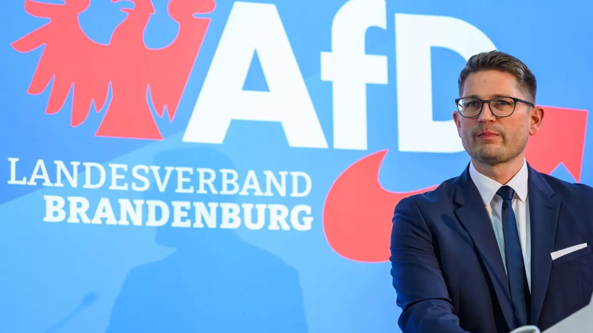 AfD Brandenburg: This is why the state association is classified as ...