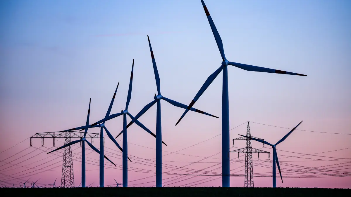 Electricity from solar and wind: Overloaded grid costs millions of euros ...