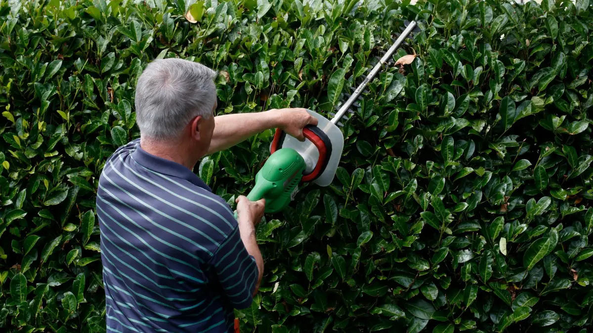 Mann schneidet eine Hecke: ILLUSTRATION - Kahlschlag? Manchmal kann eine Hecke auch die Sicht im Verkehrsgeschehen behindern - in einem Fall wurde deswegen eine Stadt verklagt. (zu dpa: «Haftet Kommune wegen schlechter Sicht durch private Hecke?») Foto: Ina Fassbender/dpa-tmn - Honorarfrei nur für Bezieher des dpa-Themendienstes +++ dpa-Themendienst +++