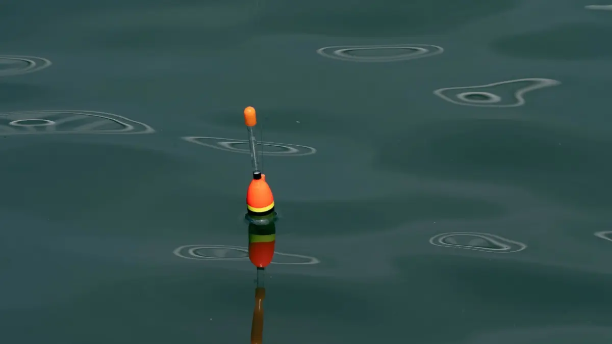 Mann will Angler aus Wasser retten - beide tot: 30.05.2025, Mecklenburg-Vorpommern, Wolgast: Ein roter Schwimmer für Angler schwimmt im Hafen von Wolgast. Im Hafenbecken in Wolgast sind bei einem Unglück zwei Männer gestorben. Ein Angler stürzte nachts an einer Kaikante ins Hafenbecken. Ein Passant will ihm helfen und springt hinein. Der Unfall endet für beide tödlich. Foto: Stefan Sauer/dpa +++ dpa-Bildfunk +++