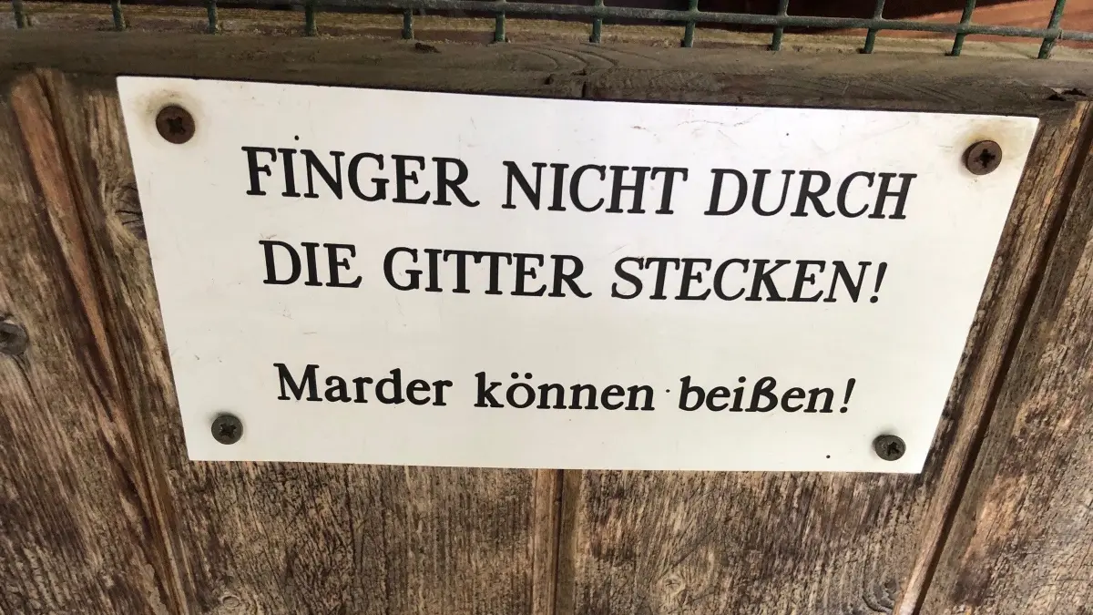 Diesen Hinweis im Tierpark Kunsterspring Neuruppin sollte unbedingt beachtet werden. Marder sind sehr, sehr flinke Burschen.