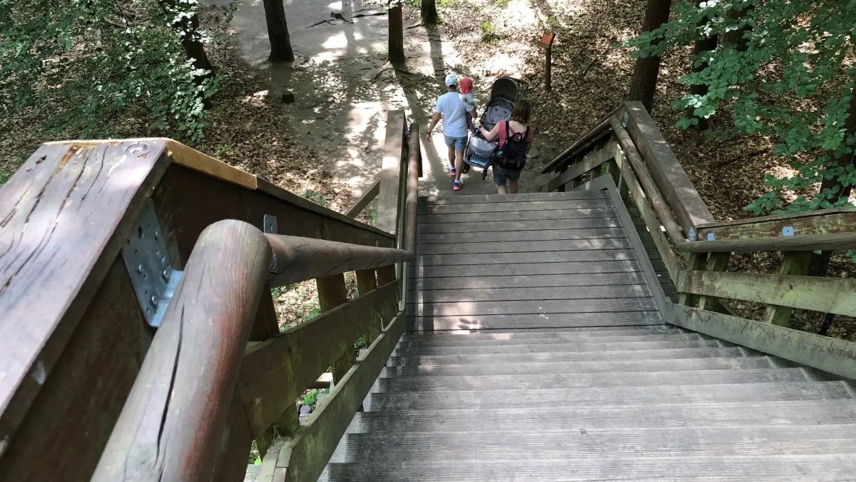 Wer im Tierpark Kunsterspring Neuruppin unterwegs sein will, muss halbwegs gut zu Fuß sein. Denn der weitläufige Park hat teils steile Wege und Brücken. Hier geht es zu den Wölfen.