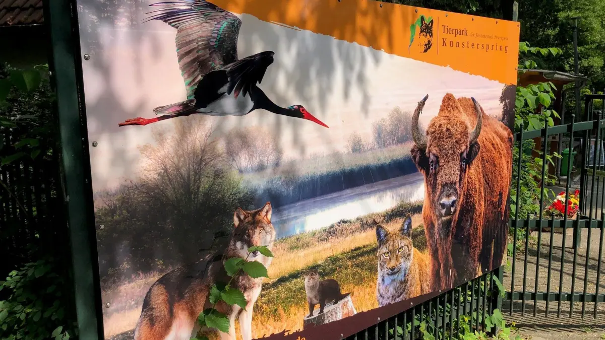 Der Tierpark Kunsterspring der Fontanestadt Neuruppin bietet allen Generationen einen vergnüglichen Ausflug in die heimische Tierwelt. Tipp: festes Schuhwerk anziehen.
