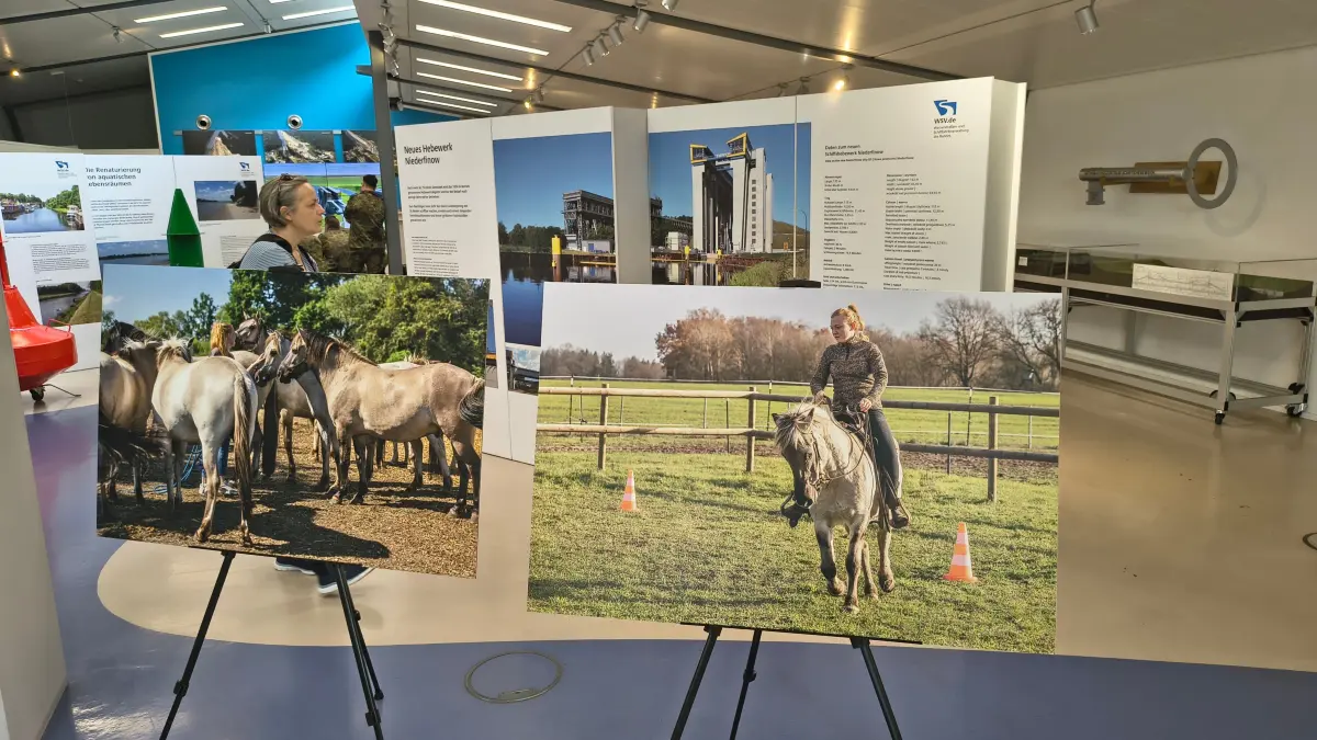 Natur und Technik im Informationszentrum an den Schiffshebewerken. Auf dem Bild im Vordergrund ist Pferdewirtin Julia Rossow auf einem der Liebenthaler Wildpferde zu sehen.