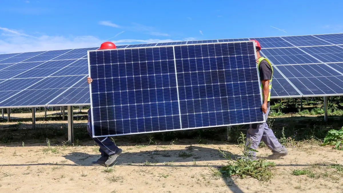 EnBW Solarpark: ARCHIV - 14.08.2024, Baden-Württemberg, Langenenslingen: Mitarbeiter einer Montagefirma tragen ein Solarmodul durch den Solarpark in Langenenslingen. Nach seiner Fertigstellung ist der Solarpark laut Energieversoger EnBW der derzeit größte Solarpark in Baden-Württemberg. (zu dpa: «Statistiker melden leichten Rückgang der CO2-Emissionen») Foto: Thomas Warnack/dpa +++ dpa-Bildfunk +++