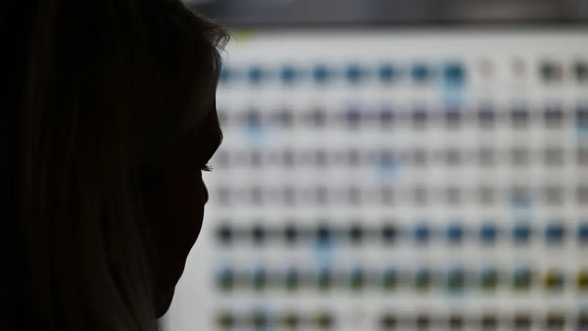Kampf gegen Kindesmissbrauch: ARCHIV - 28.11.2022, Hessen, Wiesbaden: Eine Ermittlerin einer Sondereinheit zur Aufklärung von Kinderpornografie und sexuellem Kindesmissbrauch sitzt vor einem Monitor mit Fotodateien. (zu dpa: «Mehr Ermittlungsbefugnisse bei Kindesmissbrauch gefordert») Foto: Arne Dedert/dpa +++ dpa-Bildfunk +++