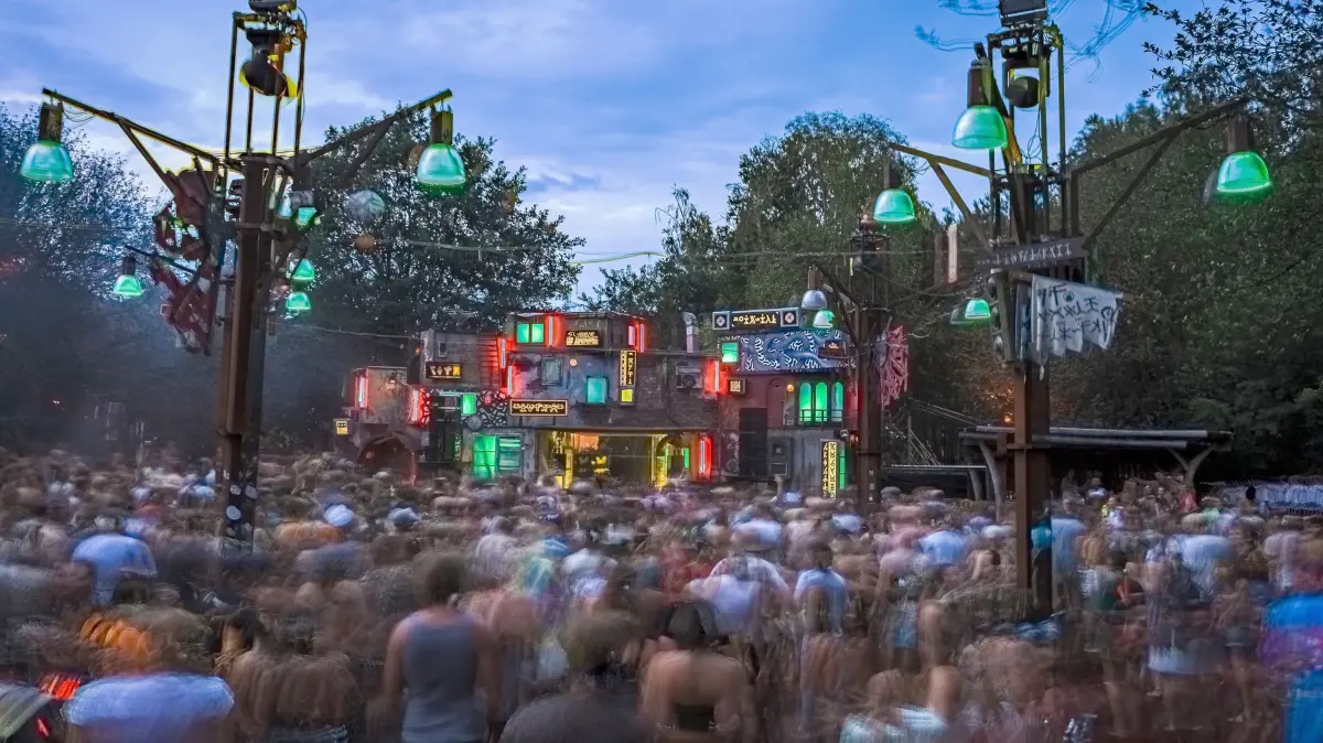 Festival Wilde Möhre