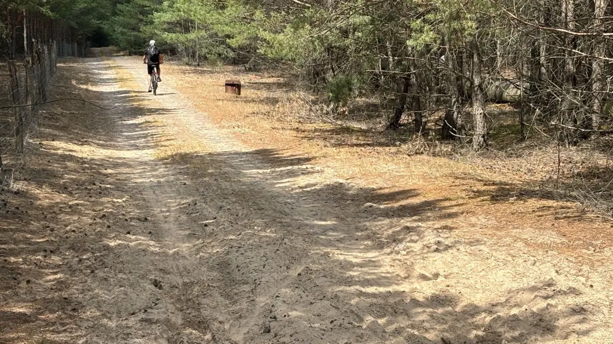Das ist der mit Abstand schwierigste Abschnitt der Kühlen Runde. Quer durch die Lausitzer Kiefernheide mit ihrem weichen Sand führt der Weg zwischen dem Altdöberner See und Woschkow.