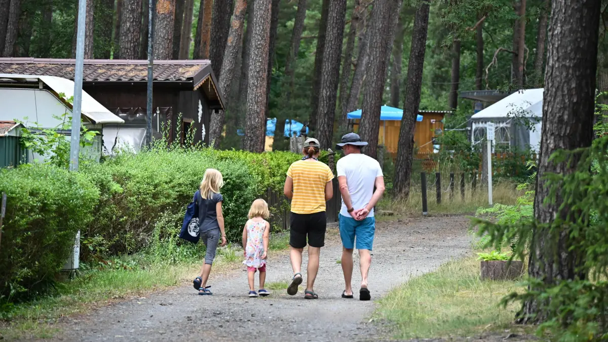 Grossee Camping Juli 2025: Blick auf den Großsee bei Tauer,
Waldcamping Am Großsee, Badestrand