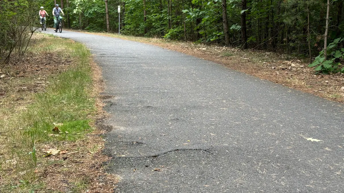 Das ist das derzeit schlimmste Teilstück des insgesamt knapp 18 Kilometer langen Rundradweges um den Senftenberger See. Grund sind massive Wurzelaufbrüche. Dort soll bald was passieren.