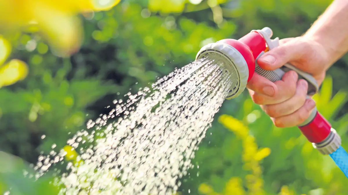 Mit einem Gartenwasserzähler können Sie bei der Bewässerung Ihres Gartens mit Trinkwasser einiges sparen.