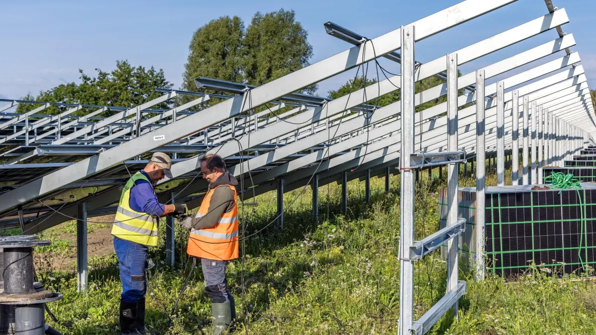 Solarfeld Drebkau: Arbeiter bereiten die Verkabelung von Solarmodulen vor. Ein Solarfeld wird zurzeit kurz vor der Stadt Drebkau errichtet. Mehrere hundert Solarmodule werden hier in etwa 70 Reihen montiert.