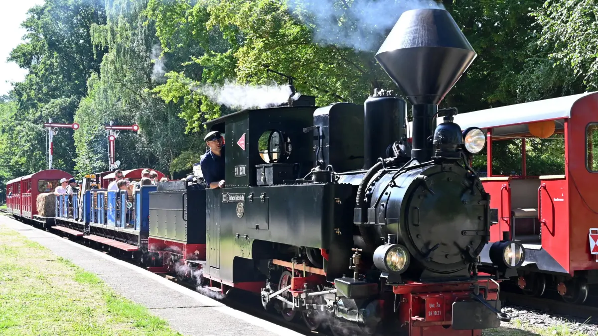 Parkeisenbahn Dampflok Aug 2025: Zahlreiche Fahrgäste nutzten am zurückliegenden Wochenende das schöne Sommerwetter, um mit der Cottbuser Parkeisenbahn eine Fahrt auf dem 3,2 Kilometer langen Rundkurs zwischen den Bahnhöfen Sandower Dreieck und Park & Schloss Branitz zu unternehmen. Besonders beliebt waren die Dampflokfahrten mit der Dampflok "Graf Arnim", der bundesweit ältesten Dampflok auf 600 Millimeter Spur, die nach 13 Jahren Stillstand und fast zweijähriger Generalüberholung im tschechischen Zamberk im Oktober 2021 ins heimische Depot der Cottbuser Parkeisenbahn am Bahnhof Sandower Dreieck zurückgekehrt war.