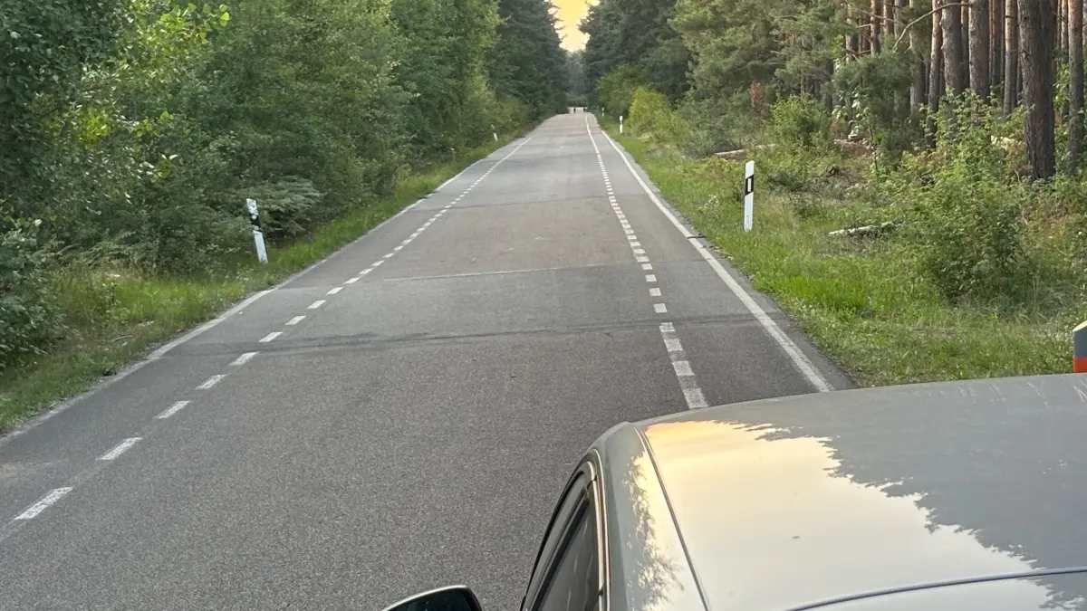 Das ist die Asphaltstraße auf dem Koschendamm. Linkerhand soll der neue Parkplatz entstehen. Bislang wächst dort Wald.